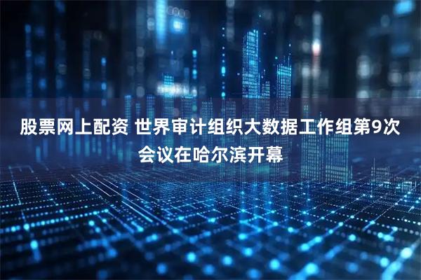 股票网上配资 世界审计组织大数据工作组第9次会议在哈尔滨开幕