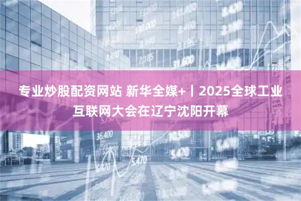 专业炒股配资网站 新华全媒+丨2025全球工业互联网大会在辽宁沈阳开幕