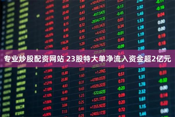 专业炒股配资网站 23股特大单净流入资金超2亿元